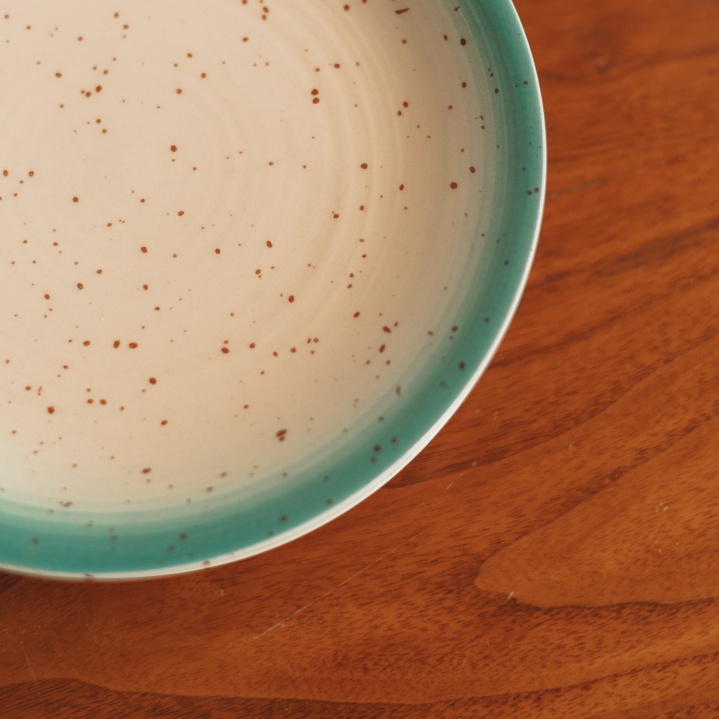 Speckled Salad Plate with Turquoise Rim, Set of 4