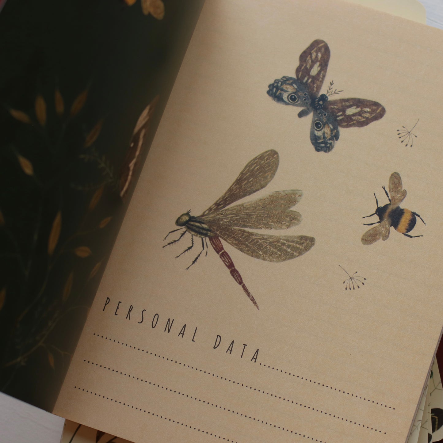 Dune Stationary | Butterflies and Friends Notebook