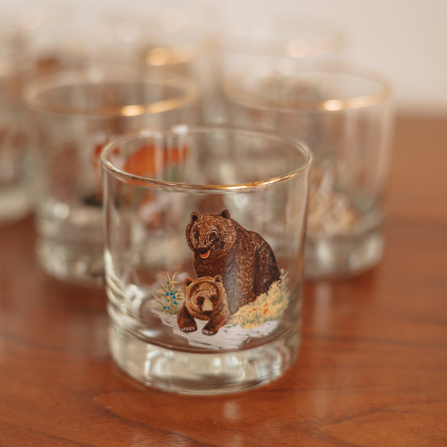 Vintage 'Wild Creatures' On the Rocks Glasses, Set of 8