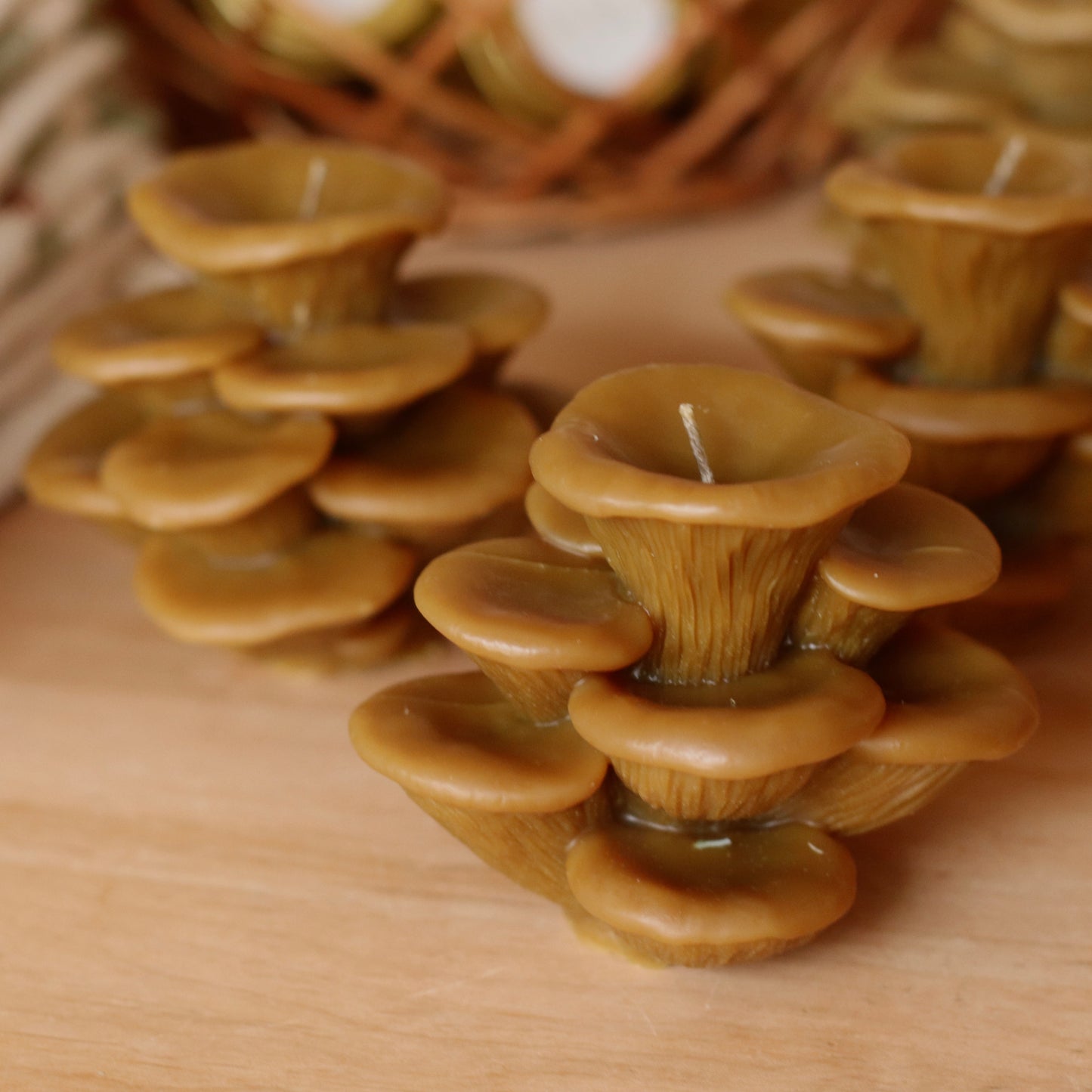 The Wax Pantry  | Oyster Mushrooms Beeswax Candle