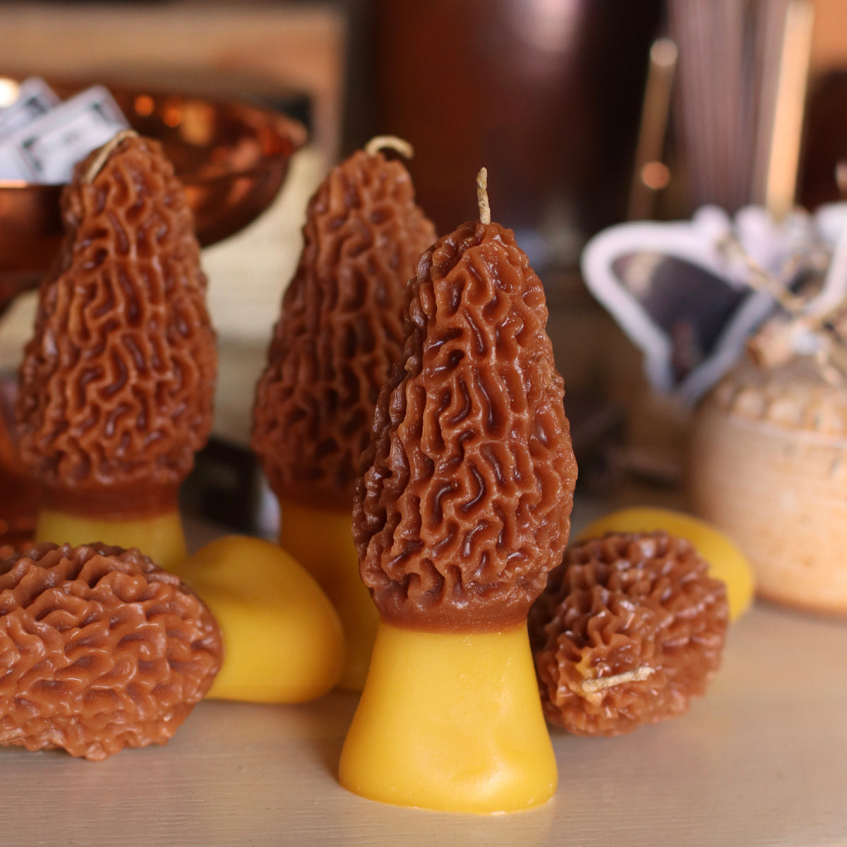 The Wax Pantry  | Morel Mushroom
