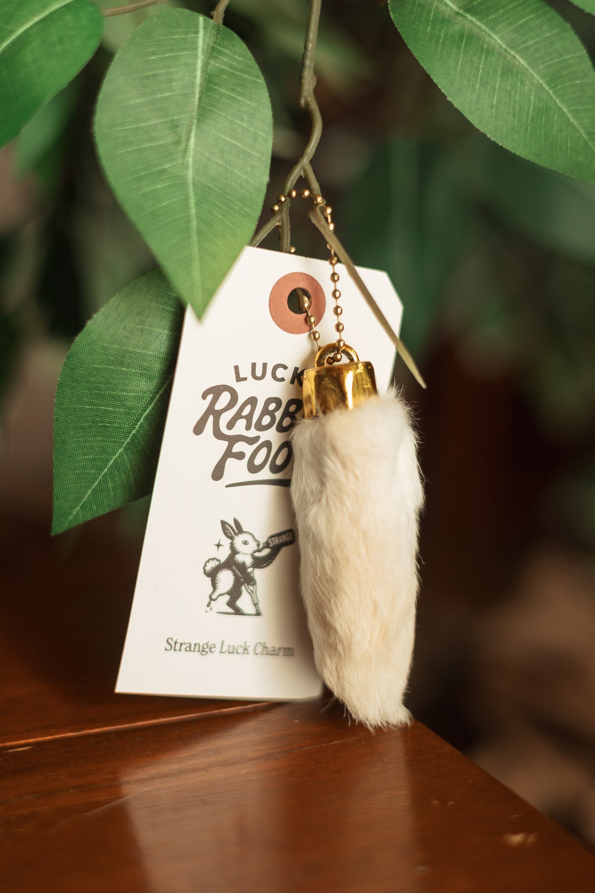 Lucky Rabbit's Foot