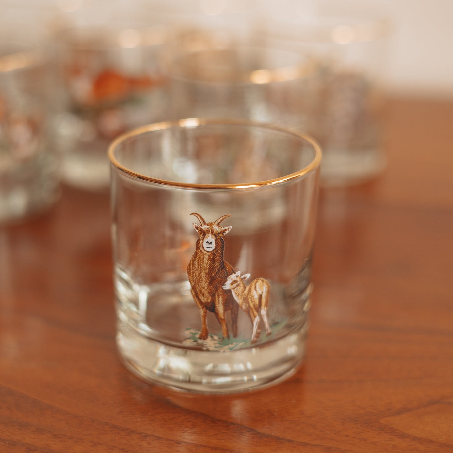 Vintage 'Wild Creatures' On the Rocks Glasses, Set of 8