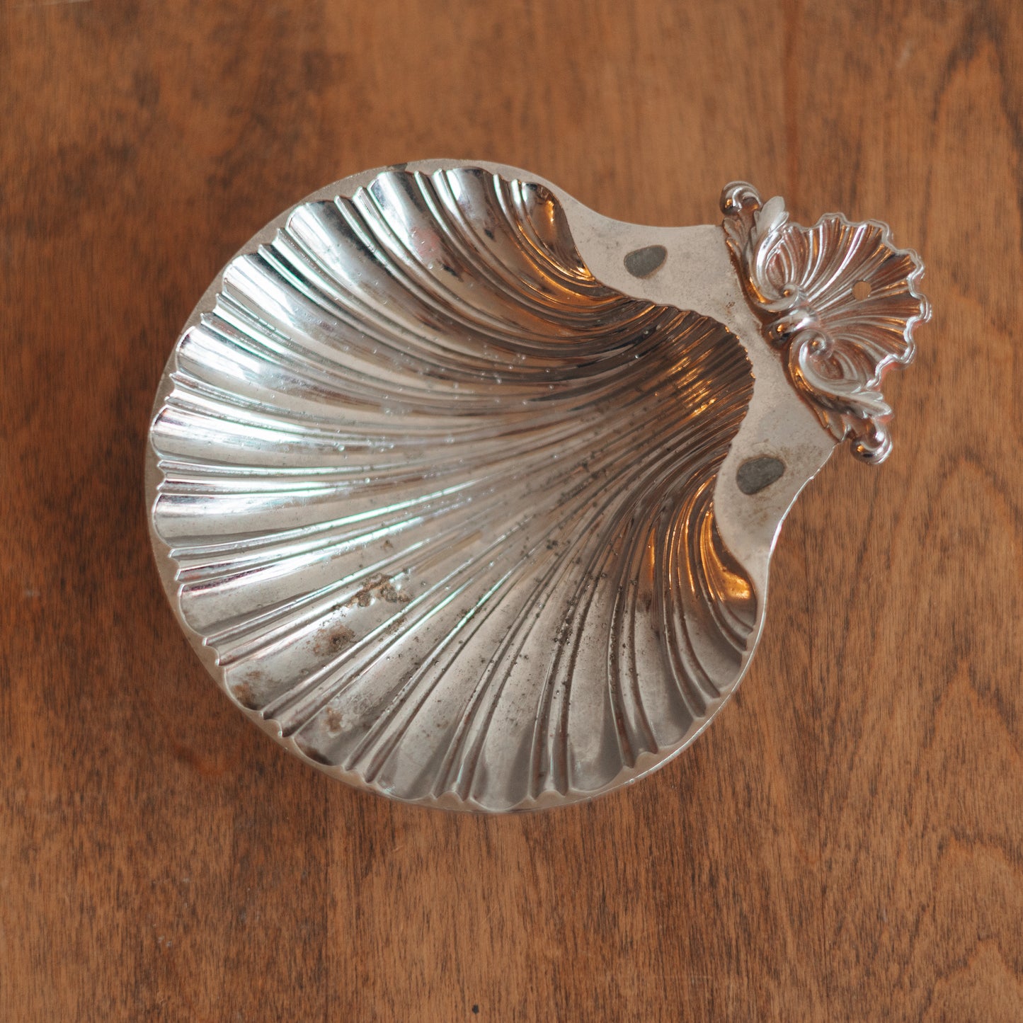 Footed Seashell Trinket Dish