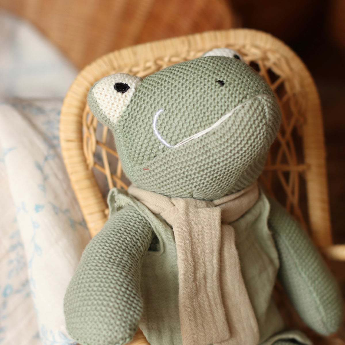 Egmont Toys | Jeremy the Frog