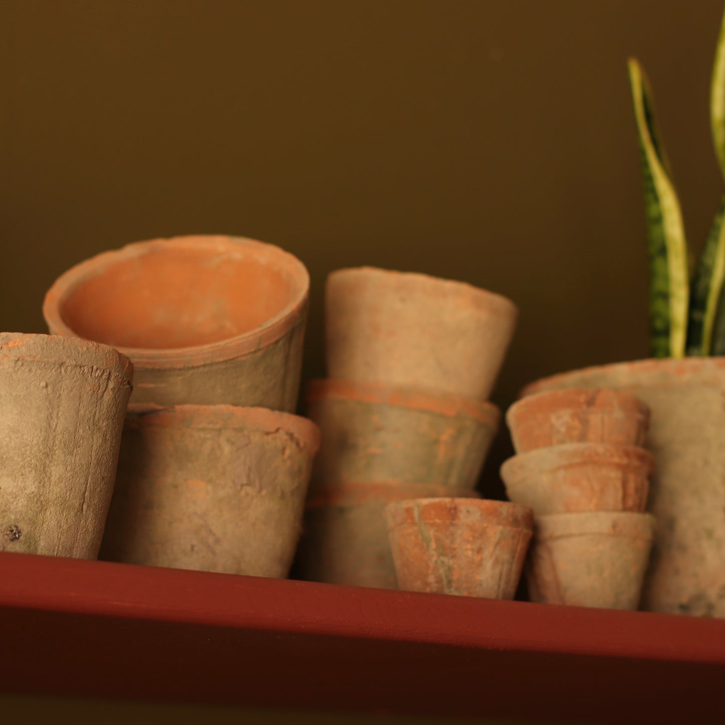 Terracotta Plant Pots, Tapered Sides,  Assorted Sizes