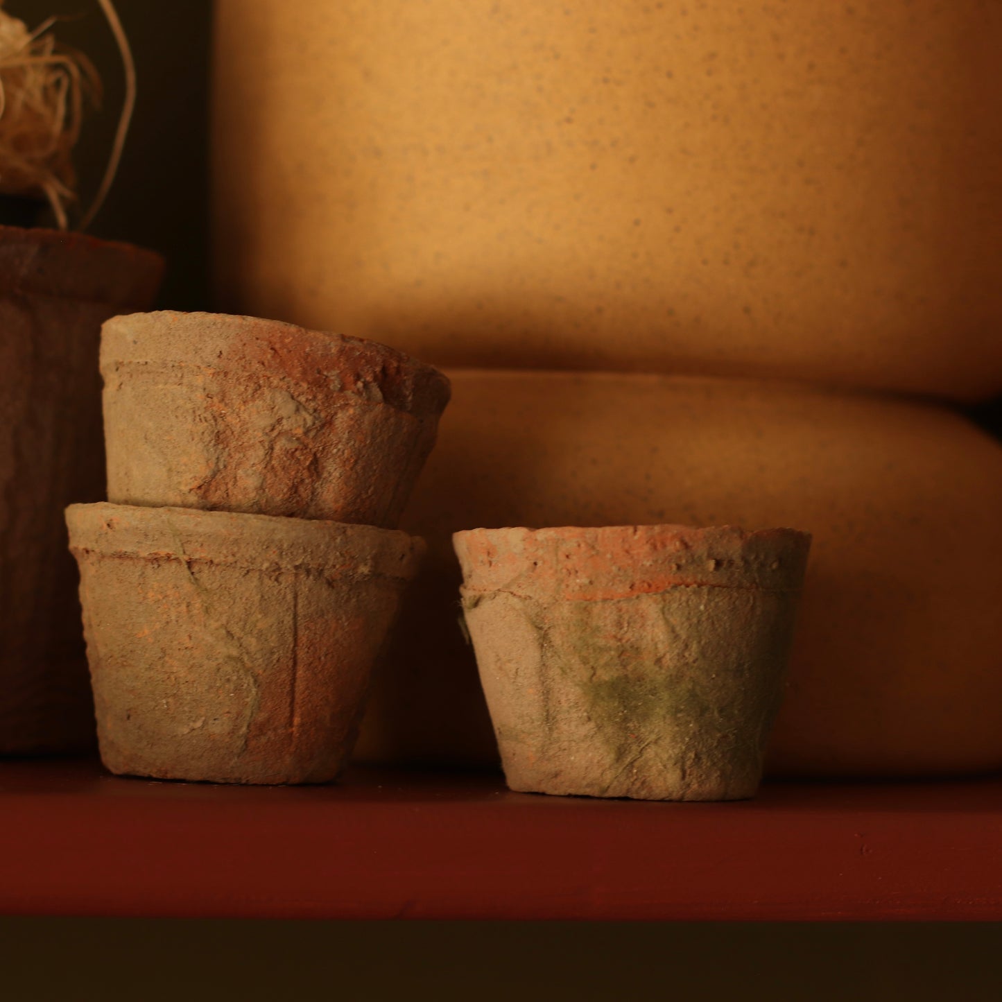 Terracotta Plant Pots, Tapered Sides,  Assorted Sizes