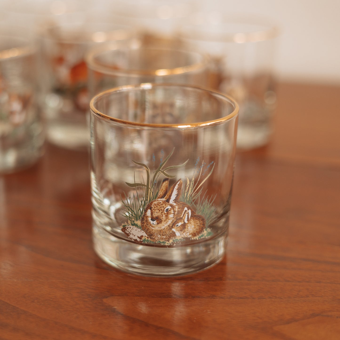 Vintage 'Wild Creatures' On the Rocks Glasses, Set of 8