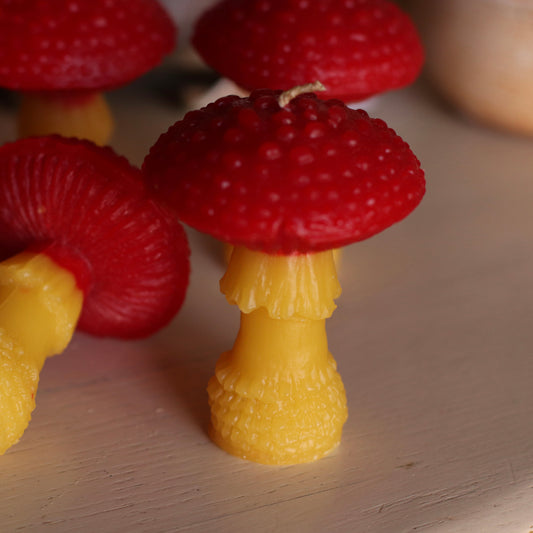 The Wax Pantry  | Amanita Mushroom