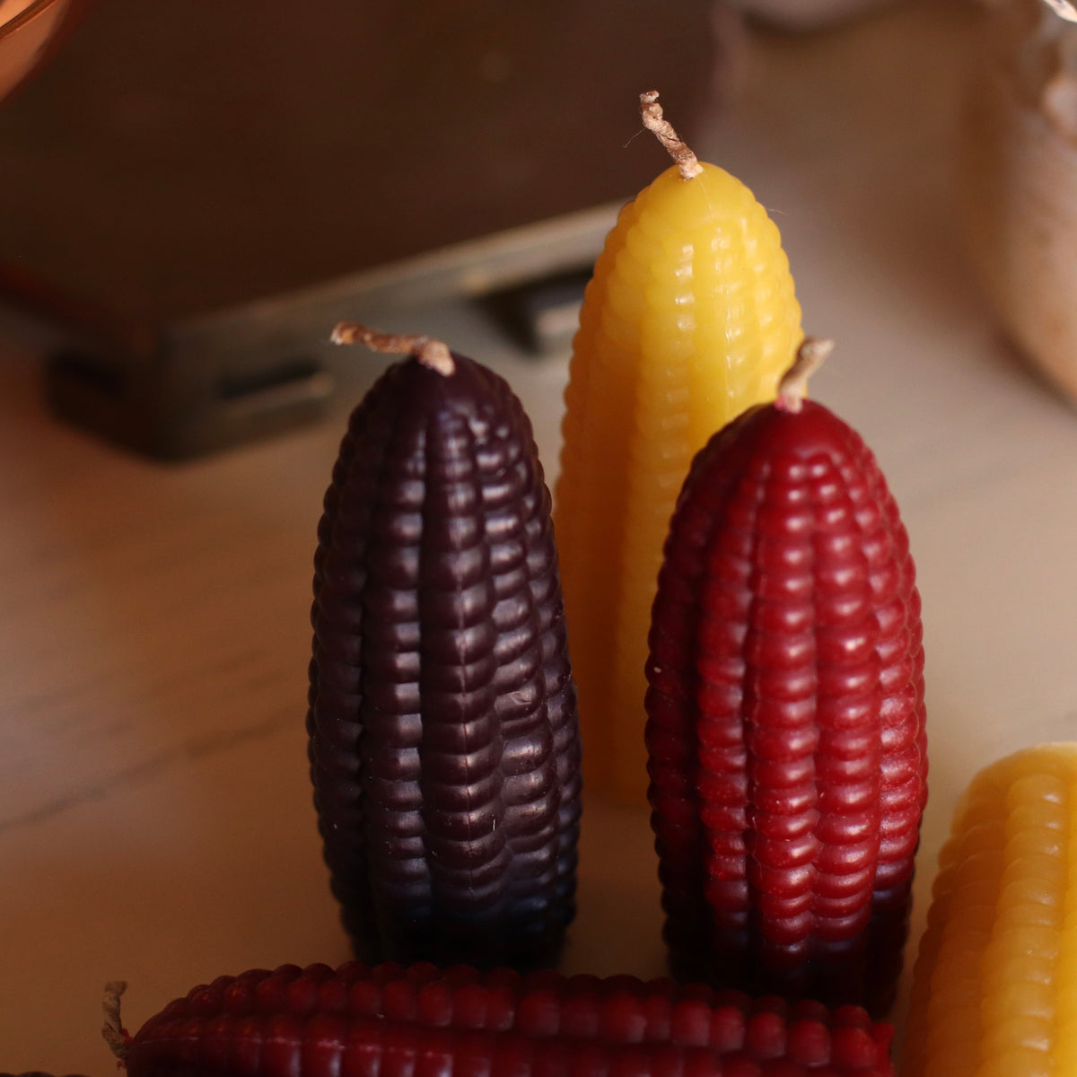 The Wax Pantry  | Jeweled Corn