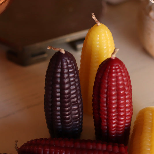 The Wax Pantry  | Jeweled Corn
