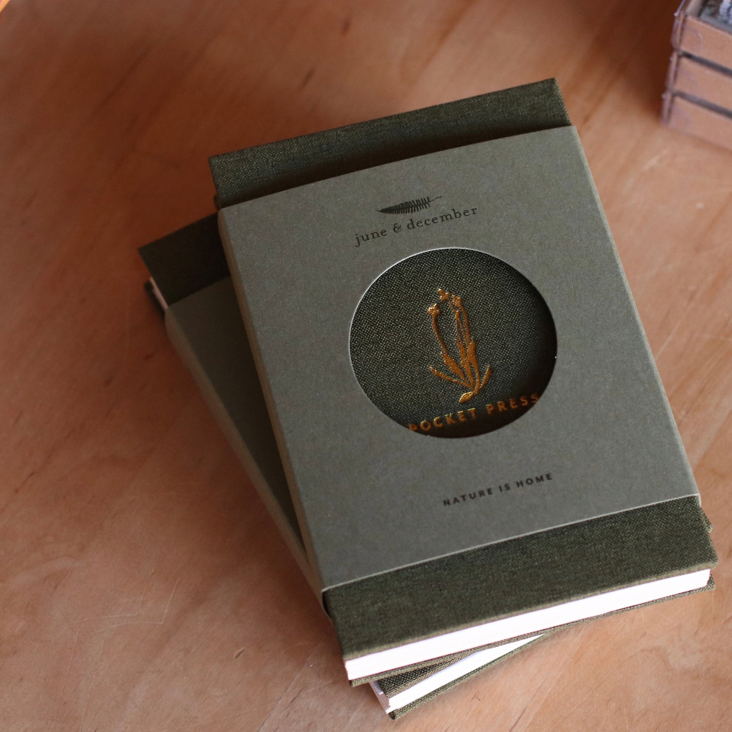 June & December | Pocket Flower Press