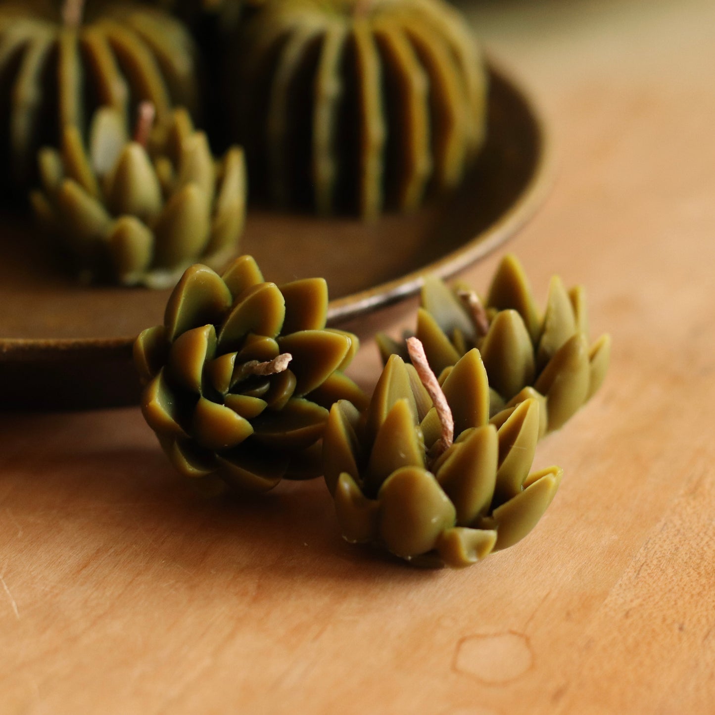 The Wax Pantry  | Mini Yucca Cactus Beeswax Candle