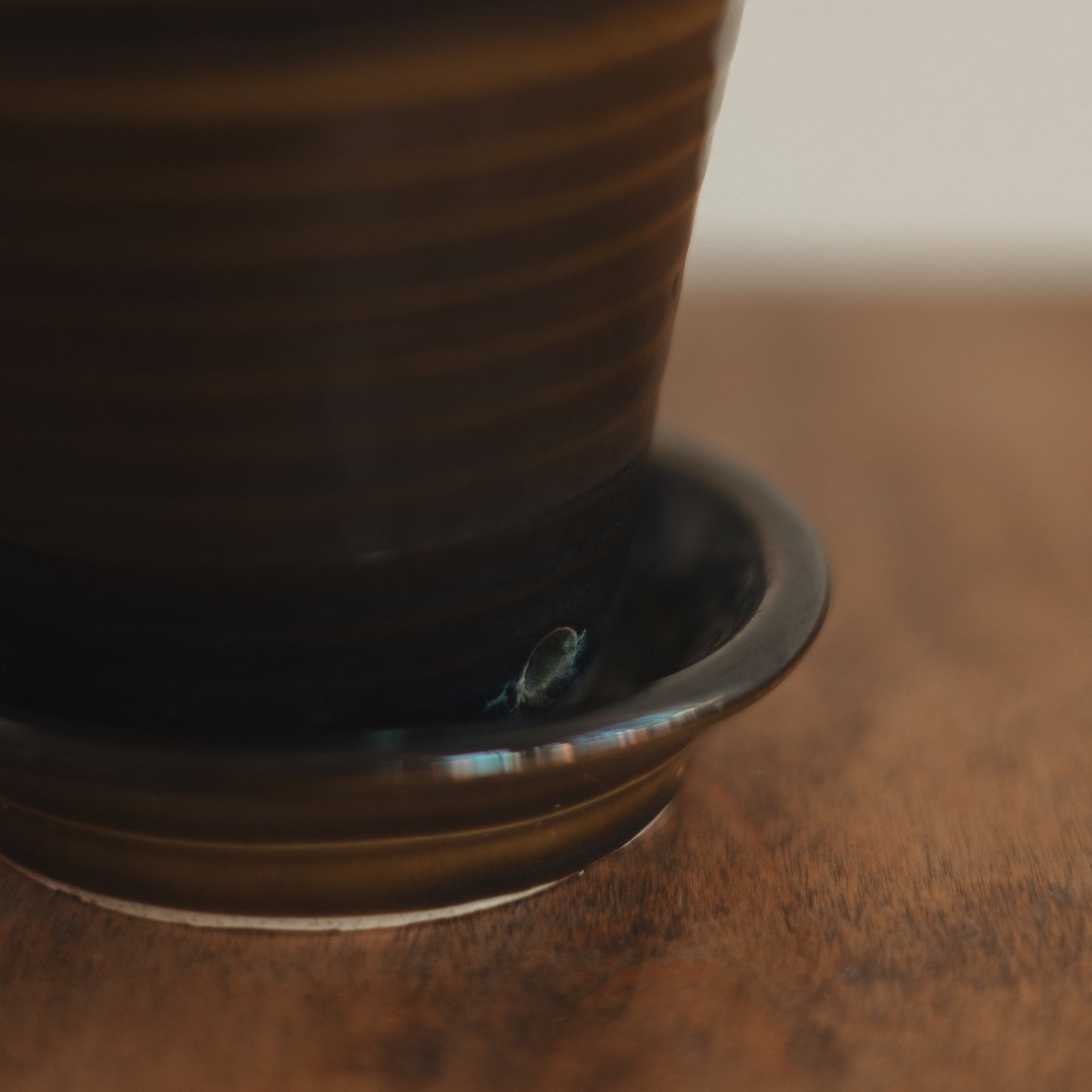 Dark Olive Green Thrown Plant Pot with Attached Saucer
