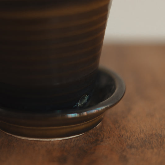 Dark Olive Green Thrown Plant Pot with Attached Saucer