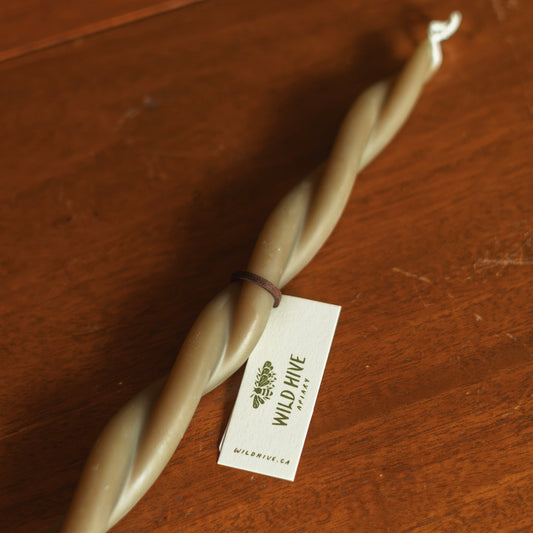 Wild Hive Apiary | 10" Twin Flame Moss Beeswax Taper Candle