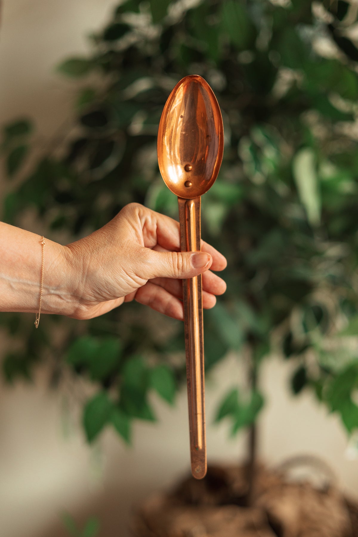 Long Copper Spoon