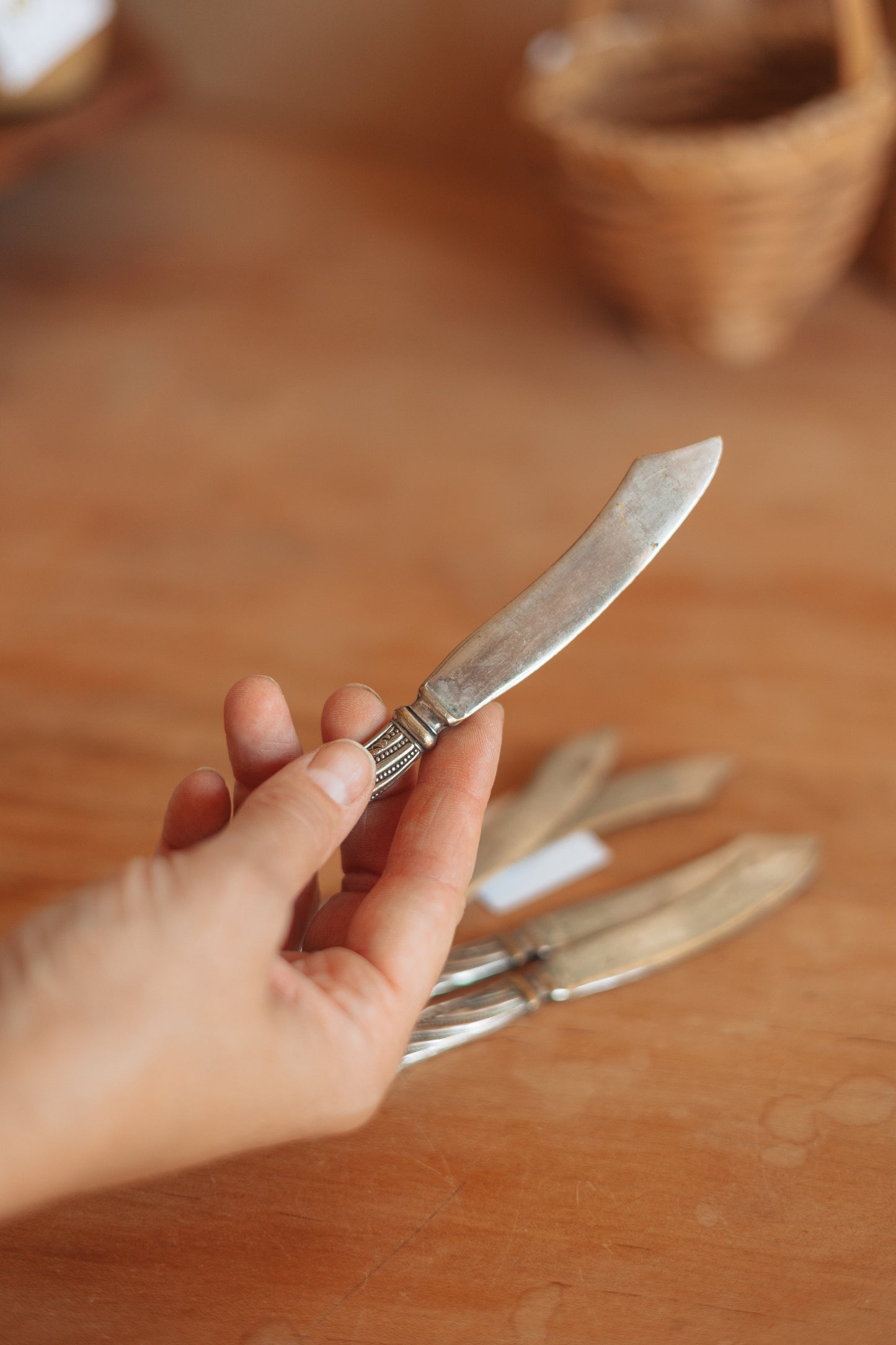 Silver Plated Butter Knives, Set of 5