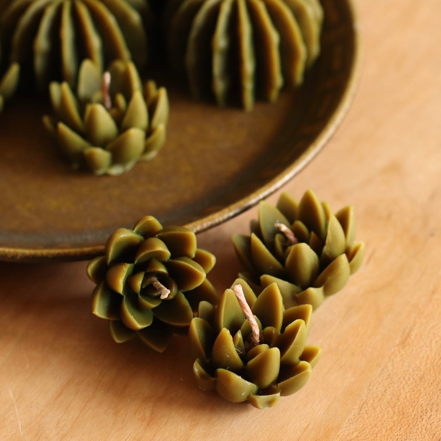 The Wax Pantry  | Mini Yucca Cactus Beeswax Candle