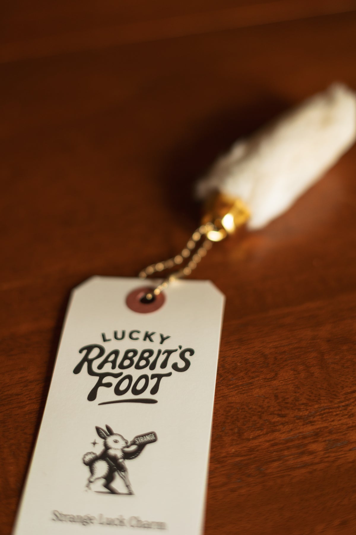 Lucky Rabbit's Foot