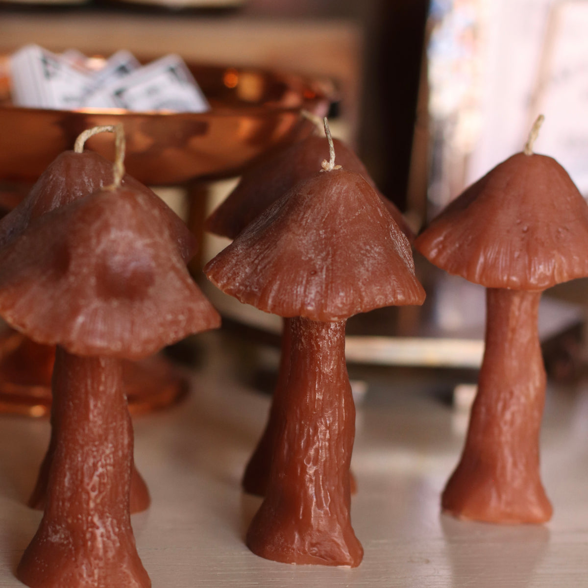 The Wax Pantry  | Parasol Mushroom