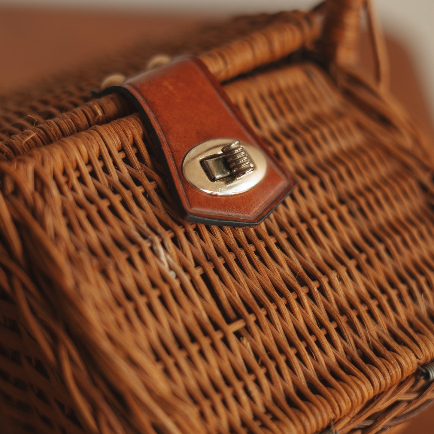 Petit Hinged Basket Purse