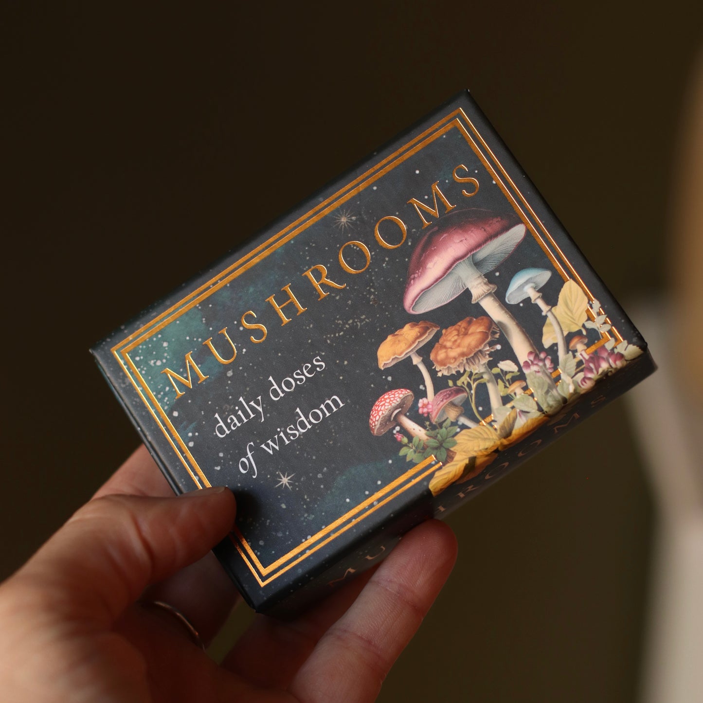 Red Wheel Weiser | Mushrooms: Daily Doses of Wisdom