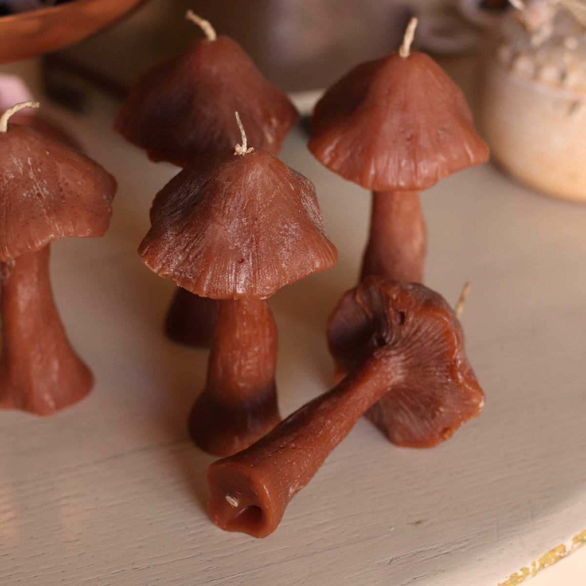 The Wax Pantry  | Parasol Mushroom