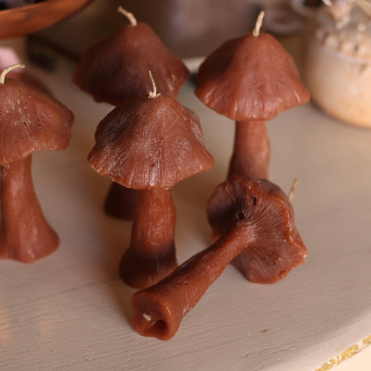 The Wax Pantry  | Parasol Mushroom