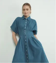 Aaron and Amber | Denim Button Front Pleated Dress