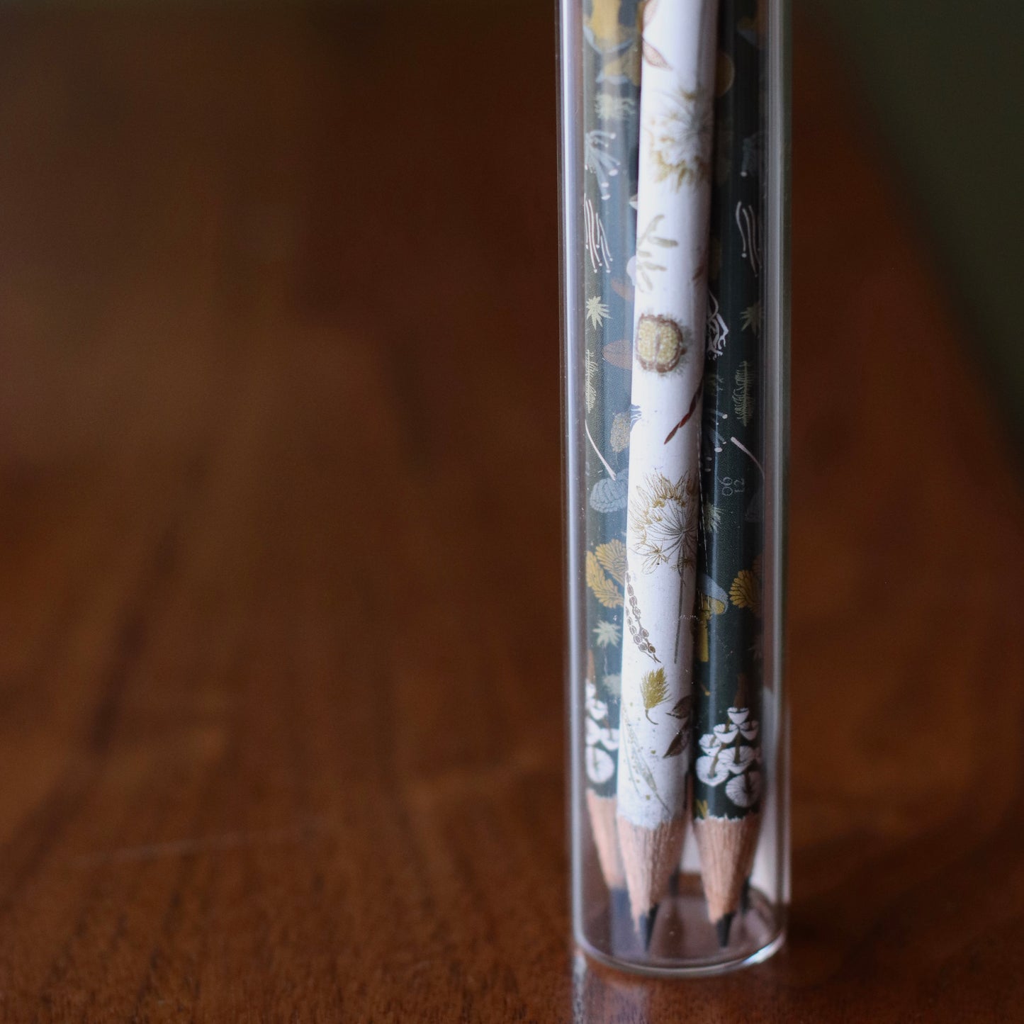 June & December | Pencil Terrarium, Circle Of Life