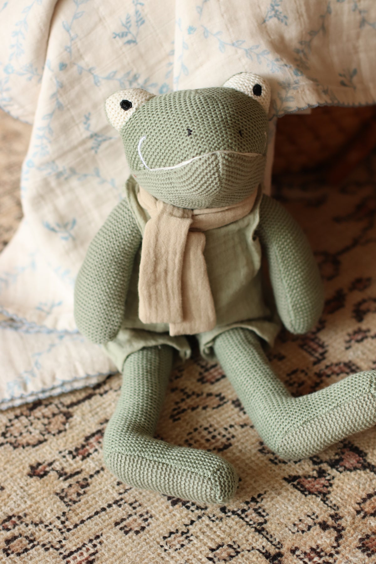 Egmont Toys | Jeremy the Frog