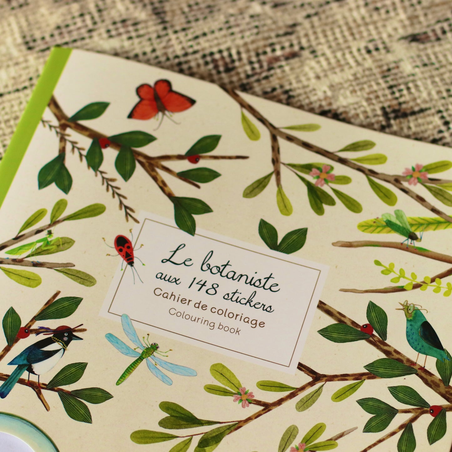 Speedy Monkey | Le Botaniste Coloring Book and Stickers