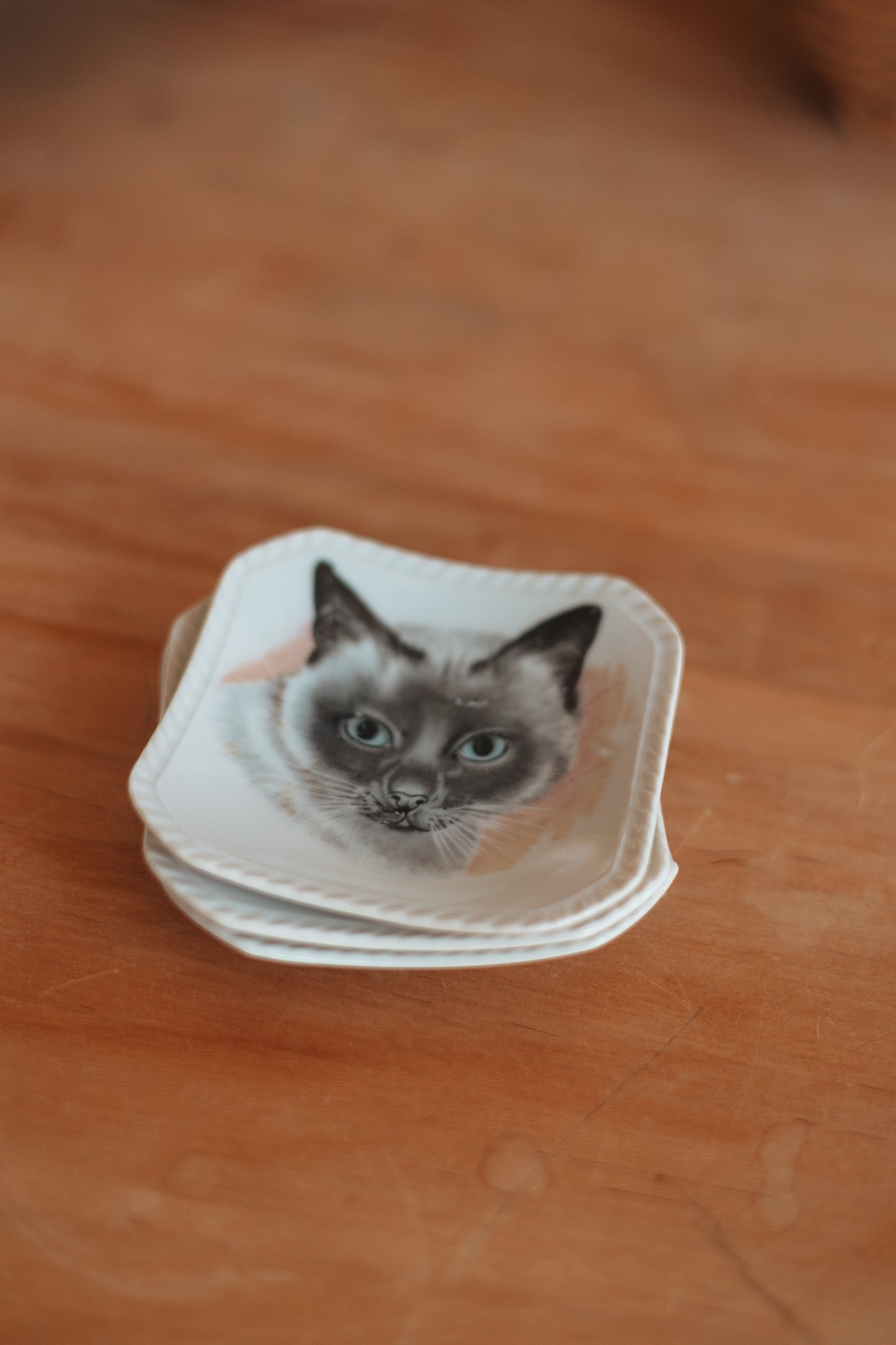 Cat Portrait Trinket Dish, assorted