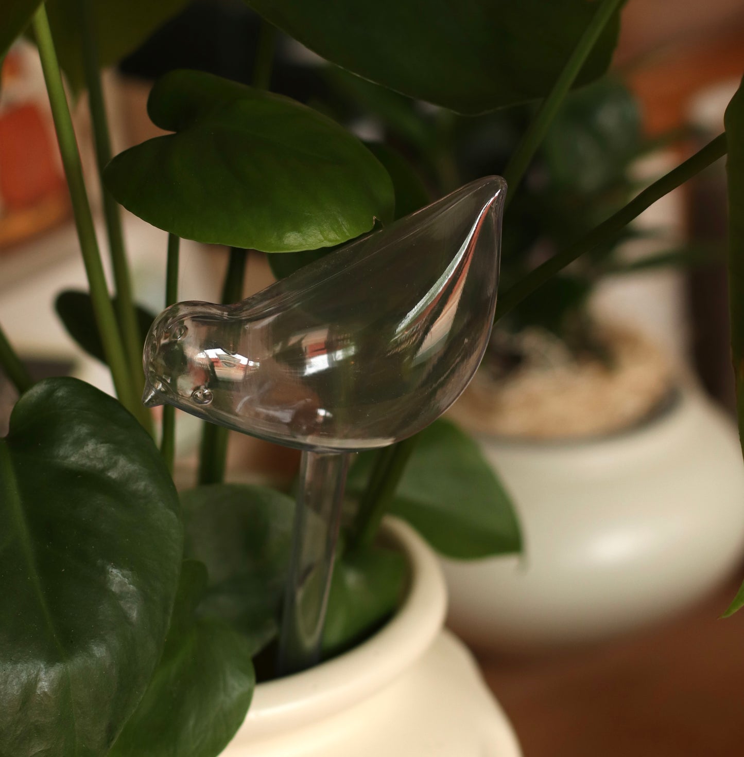 Bird Shaped Self Watering Bulb