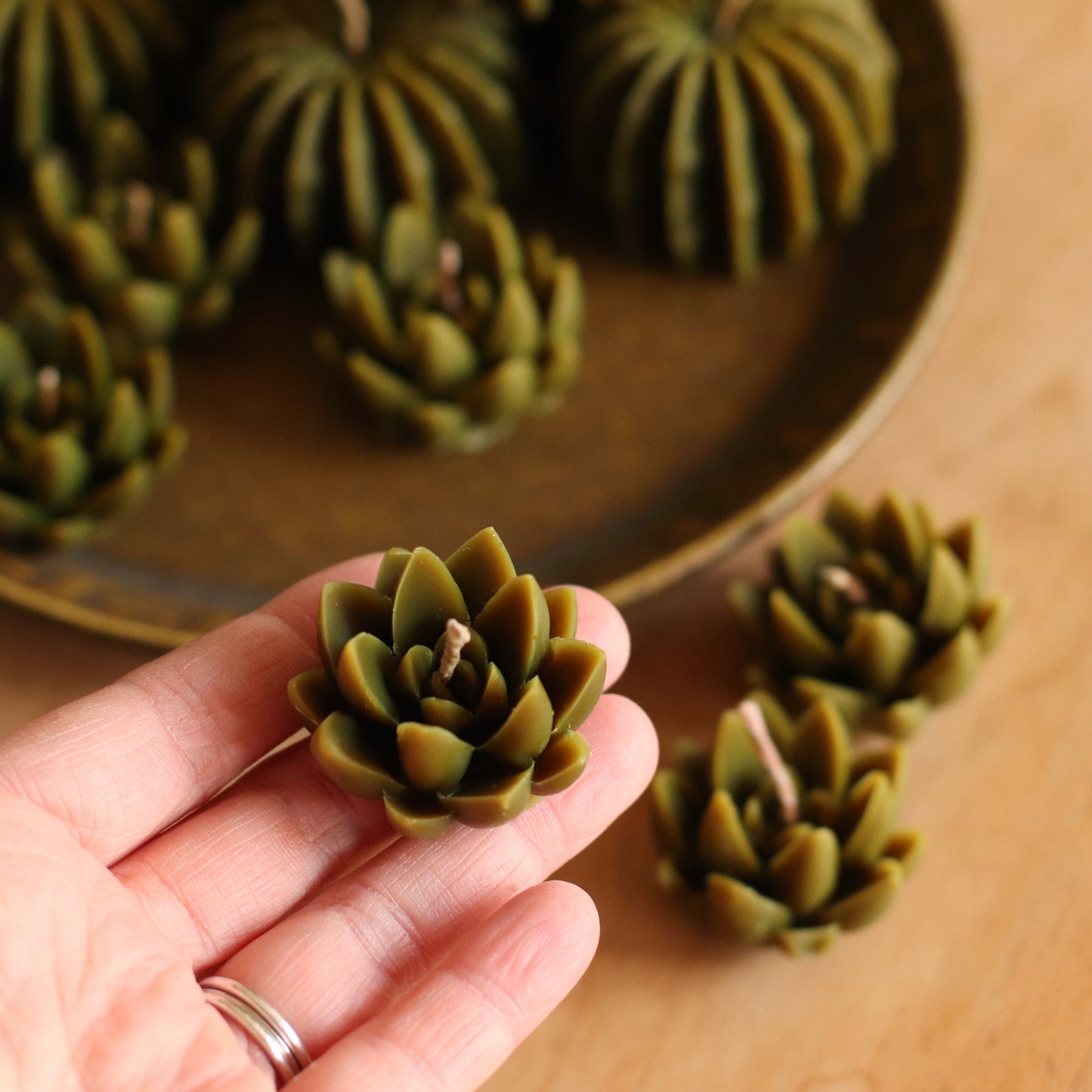The Wax Pantry  | Mini Yucca Cactus Beeswax Candle