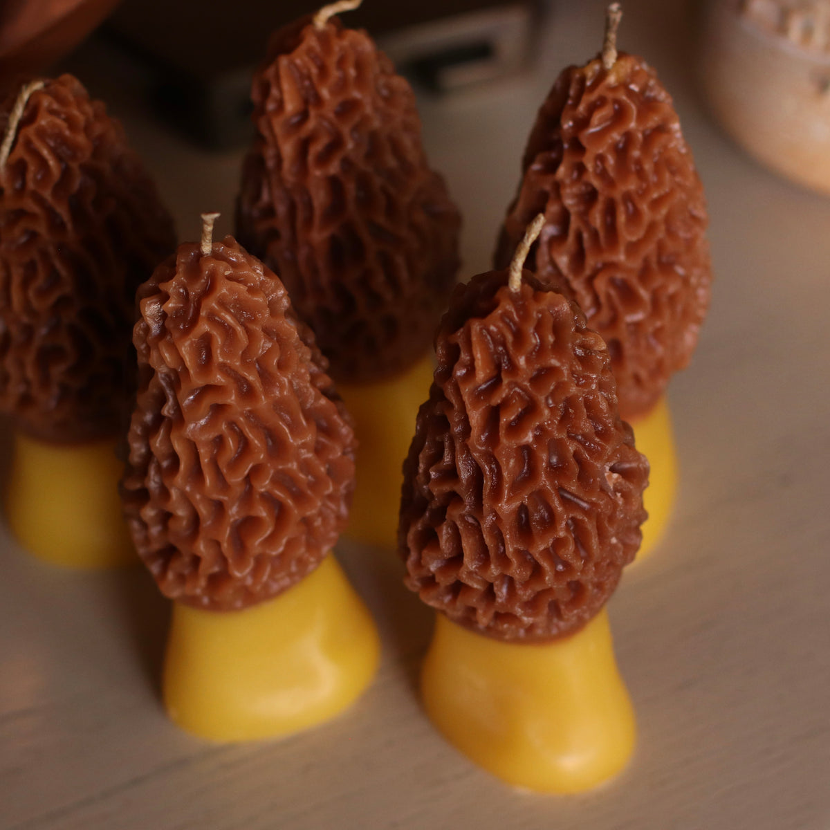 The Wax Pantry  | Morel Mushroom