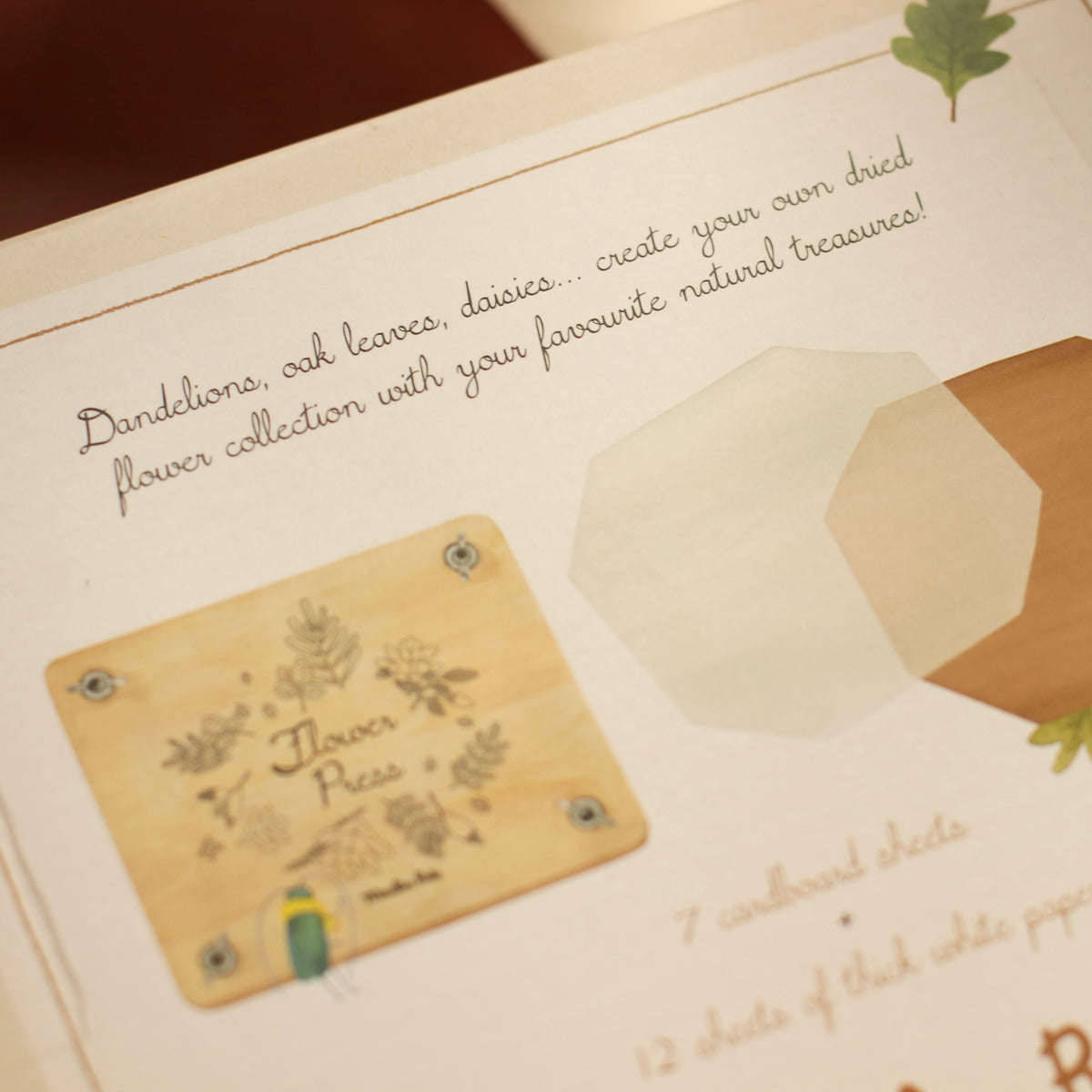 Speedy Monkey | Flower Press