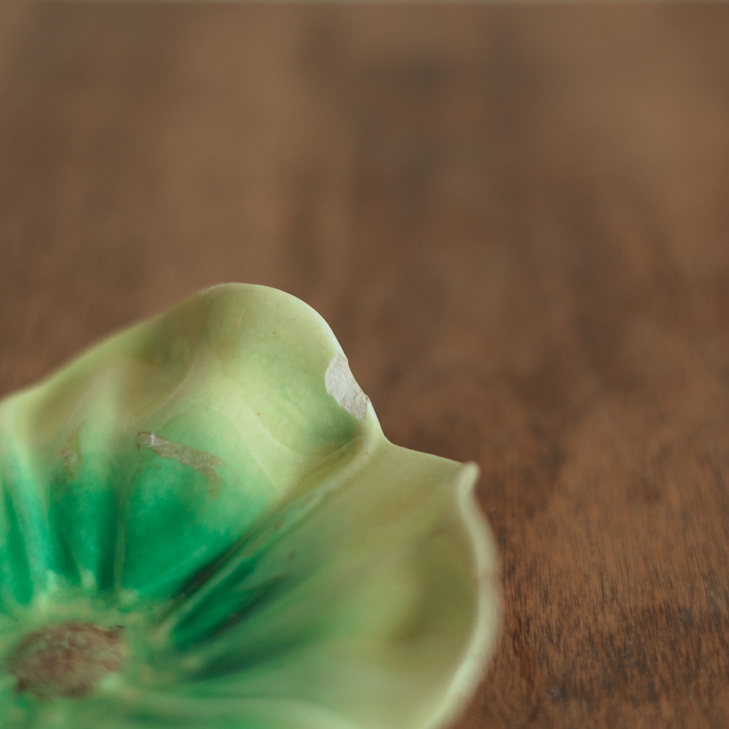 Vintage Botanical Trinket Dish with Bird