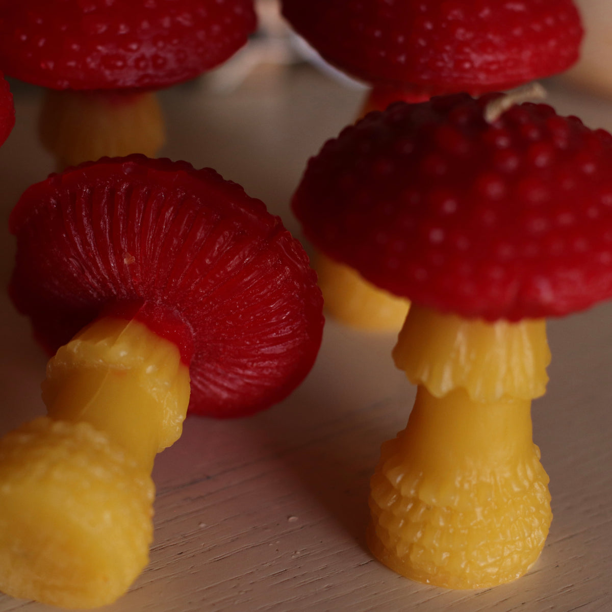 The Wax Pantry  | Amanita Mushroom