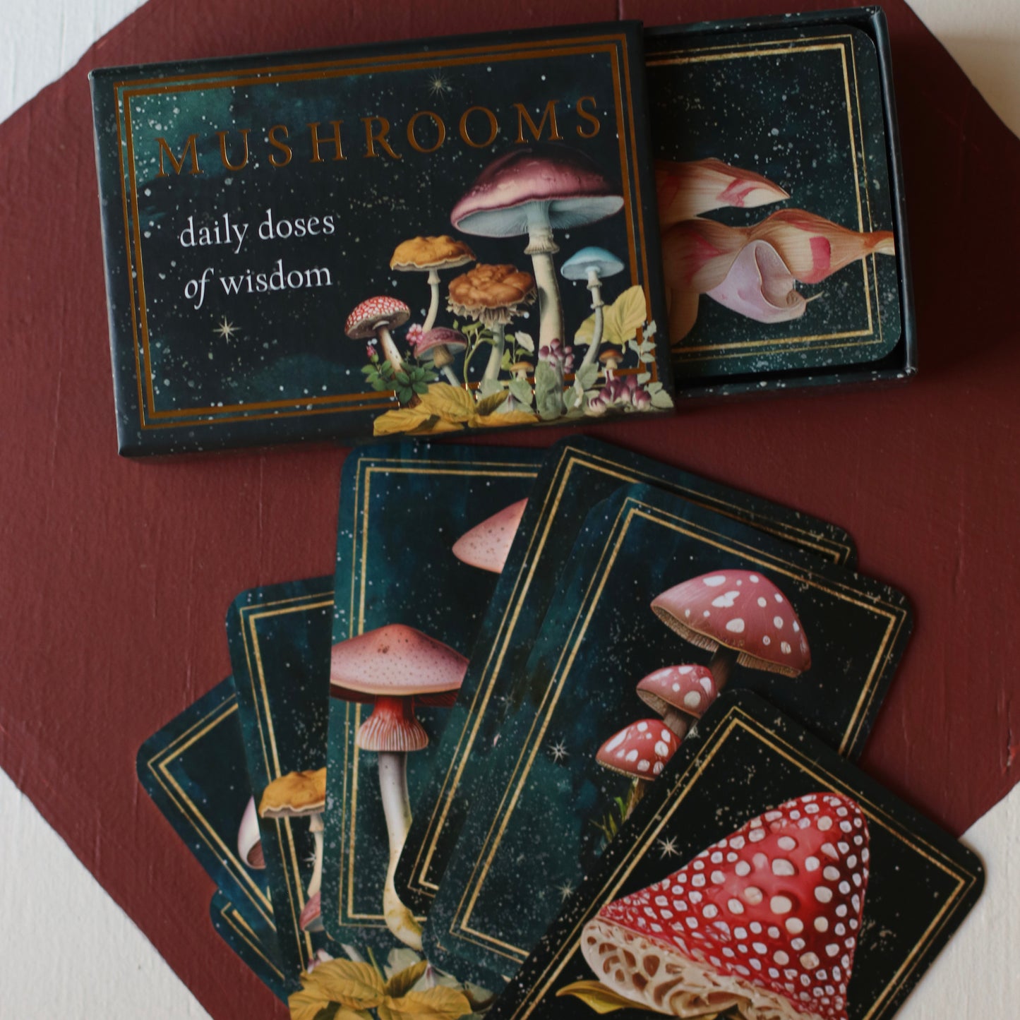 Red Wheel Weiser | Mushrooms: Daily Doses of Wisdom