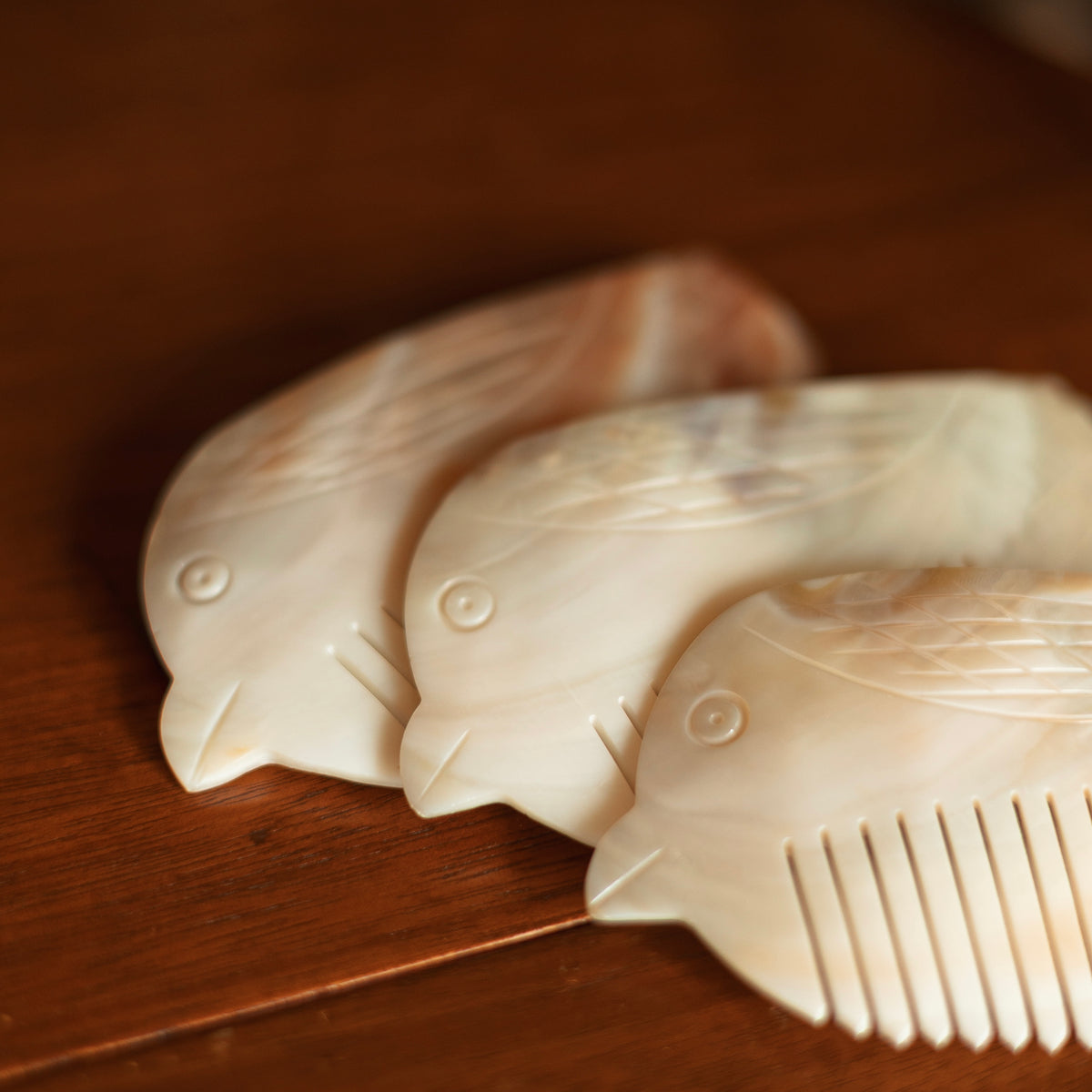 Dune Accessories | Shell Bird Comb