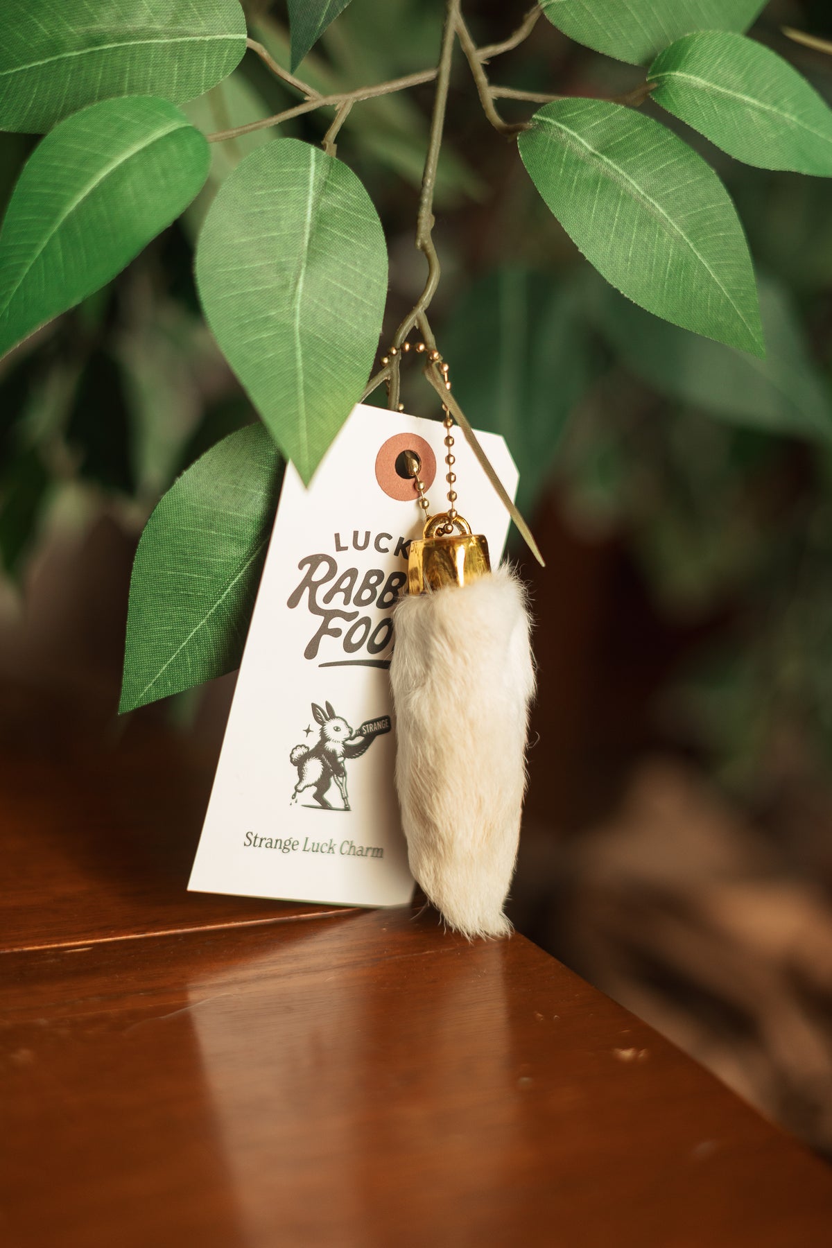 Lucky Rabbit's Foot