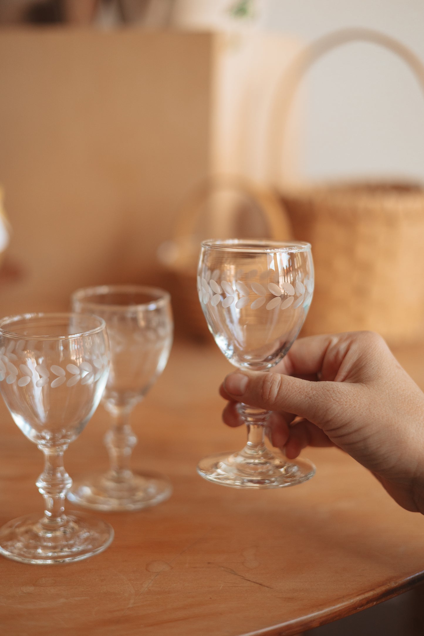 Stemmed Sipper Glass with Etched Leaf Detailing, Set of 3