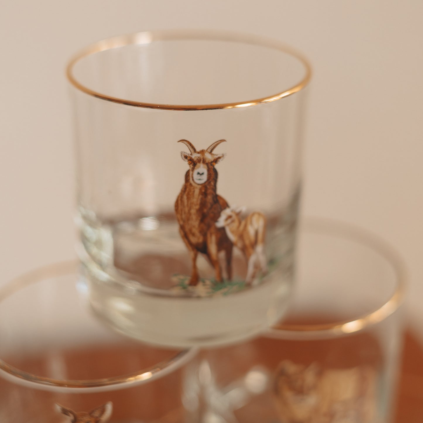 Vintage 'Wild Creatures' On the Rocks Glasses, Set of 8