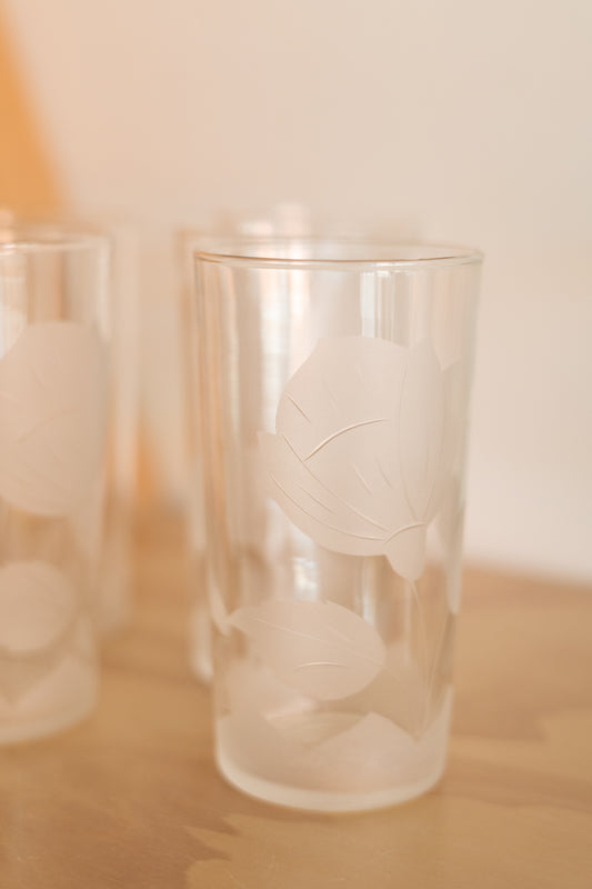 Clear Water Glasses with Flower Stem Etching, Set of 5