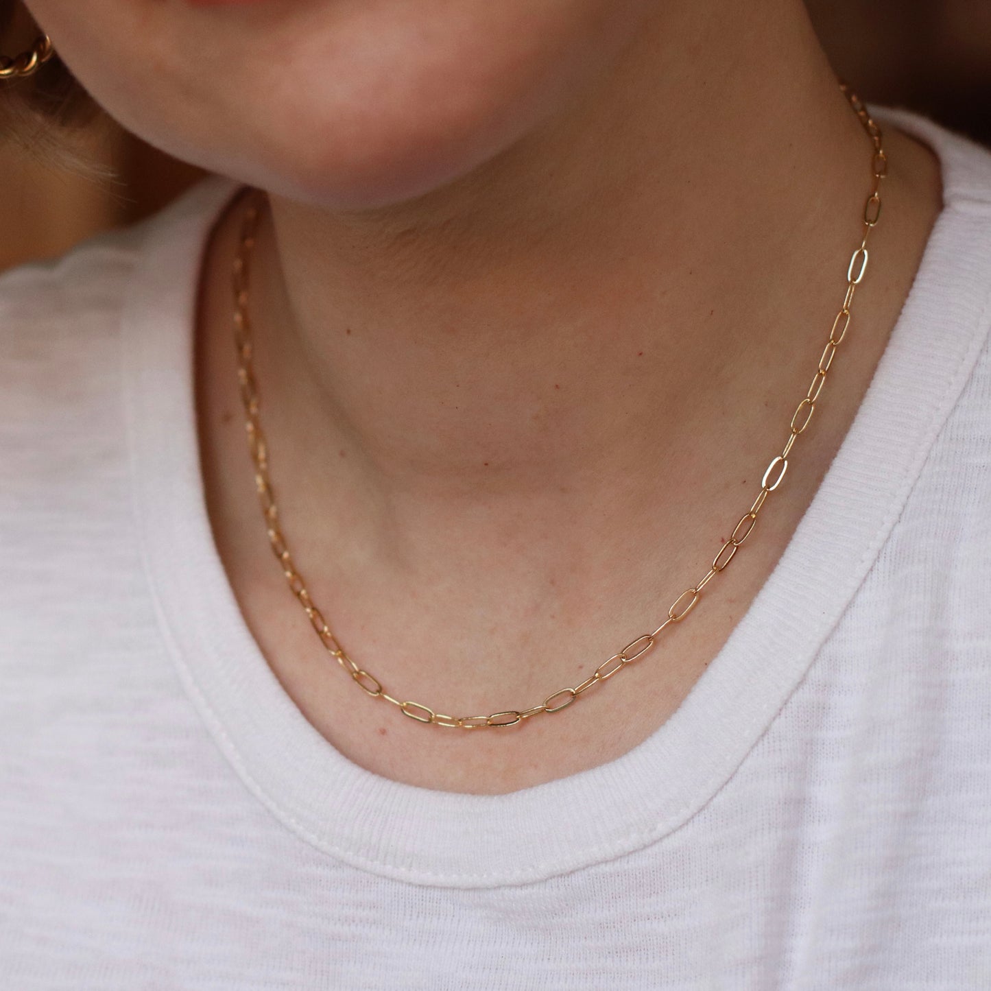 Dune Chain | Paperclip Chain, 3mm