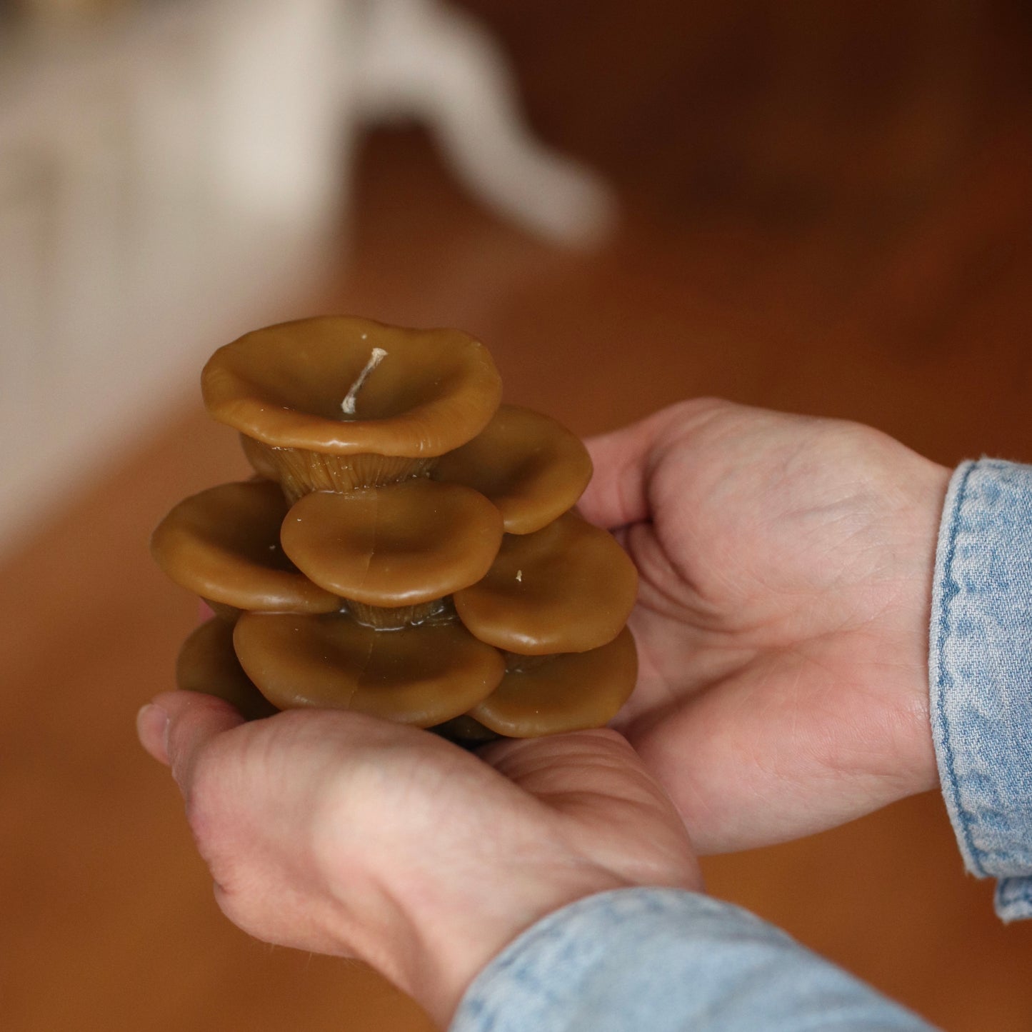 The Wax Pantry  | Oyster Mushrooms Beeswax Candle