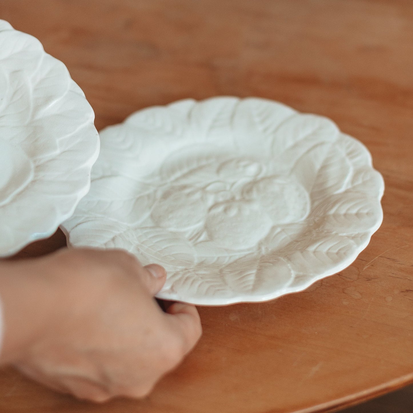 Pair of of French Majolica Fruit  Plates, France