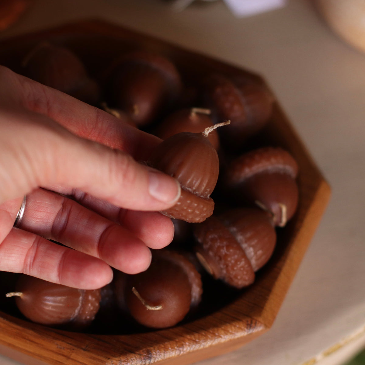 The Wax Pantry  | Acorn